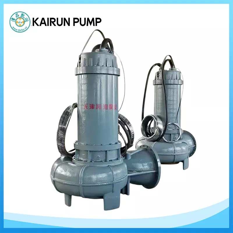 ປະເພດກະຕຸກ Submersible Sewage Pump